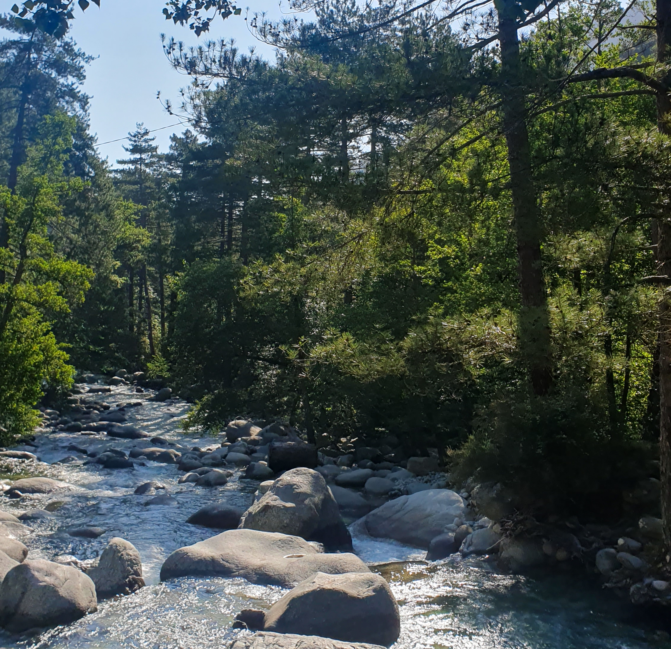 corsica montagna