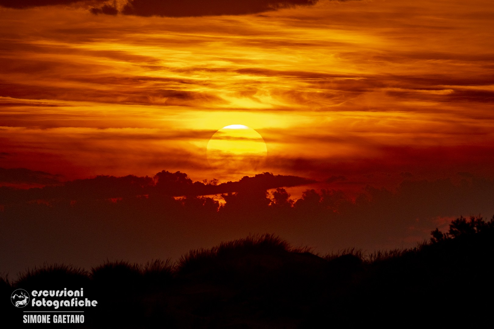 giroola tramonto provenza