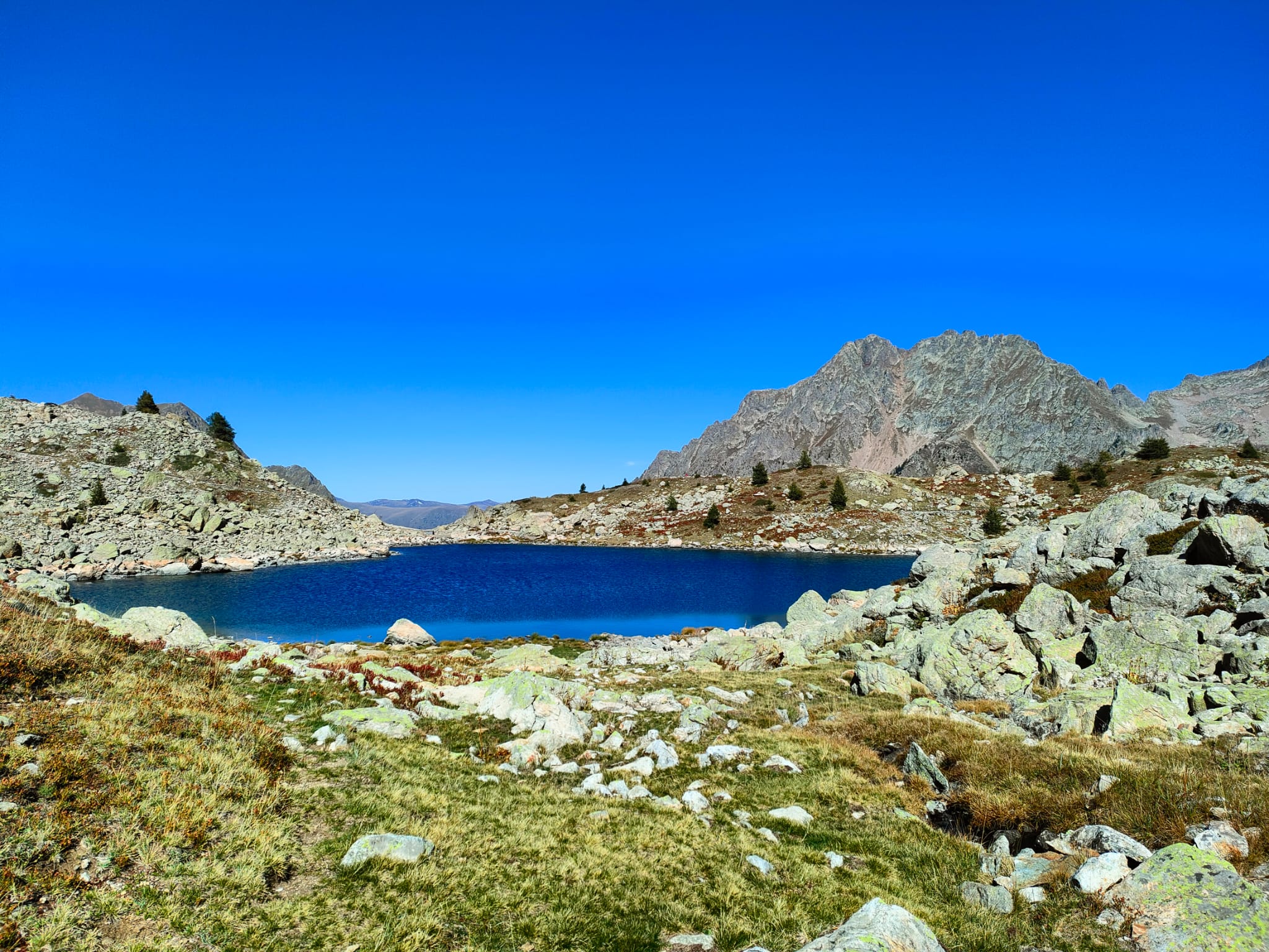 Laghi