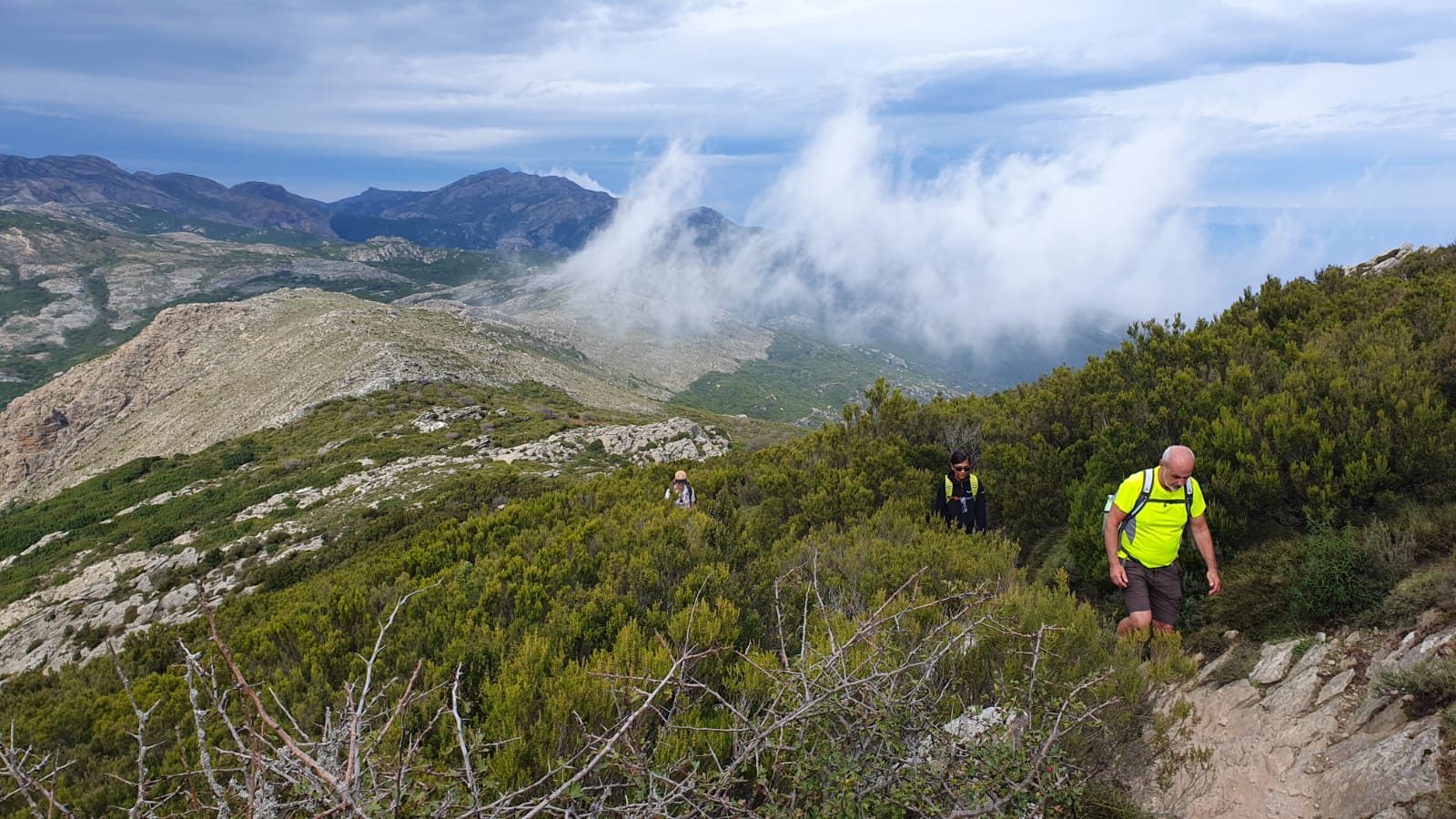 Corsica