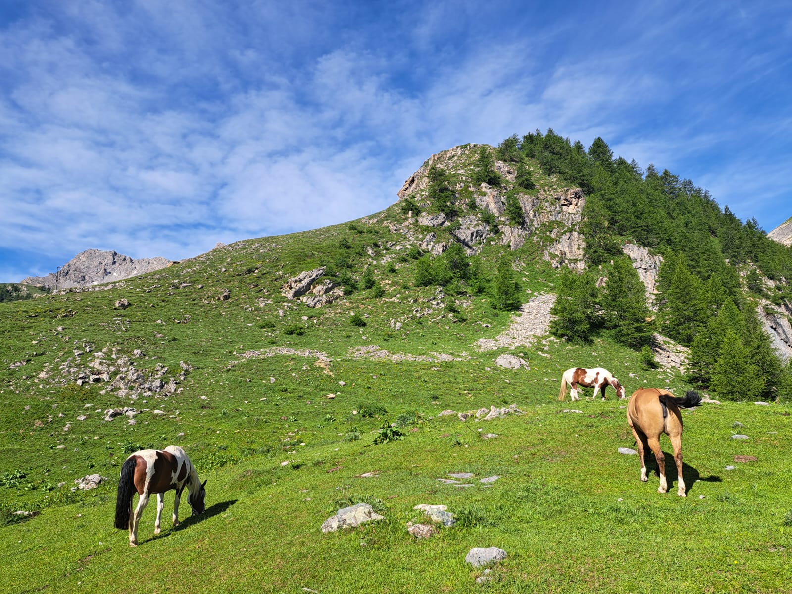 Valle Maira