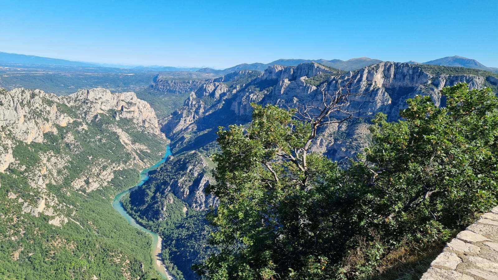 Verdon